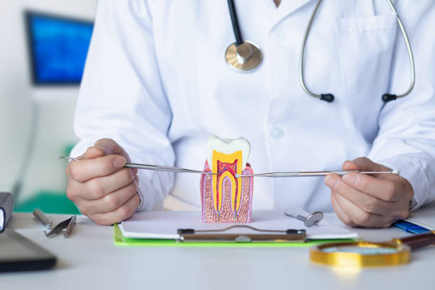 Best Cracked Tooth Emergency Dentist  in Pardeeville, WI